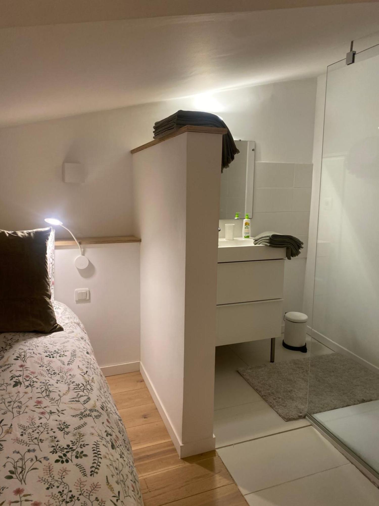 Duplex Aux Carmes Apartment Тулуза Екстериор снимка
