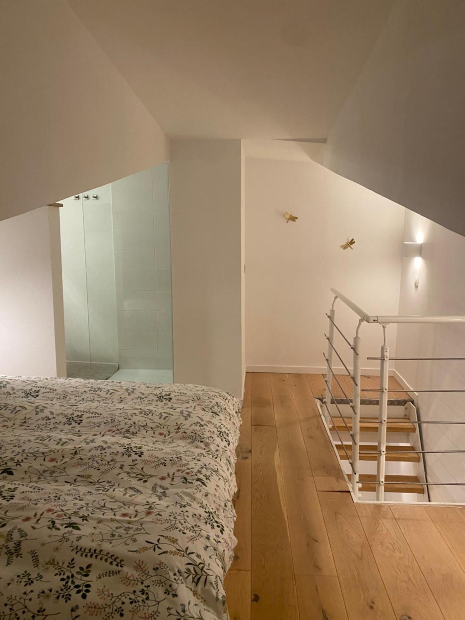 Duplex Aux Carmes Apartment Тулуза Екстериор снимка